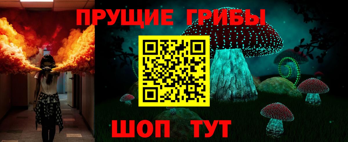 Избербаш  магазин  наркотиков  Вход с VPN  Галлюциногенные грибы GOLDEN TEACHER 