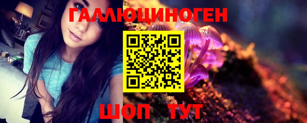 Галлюциногенные грибы прущие грибы Избербаш